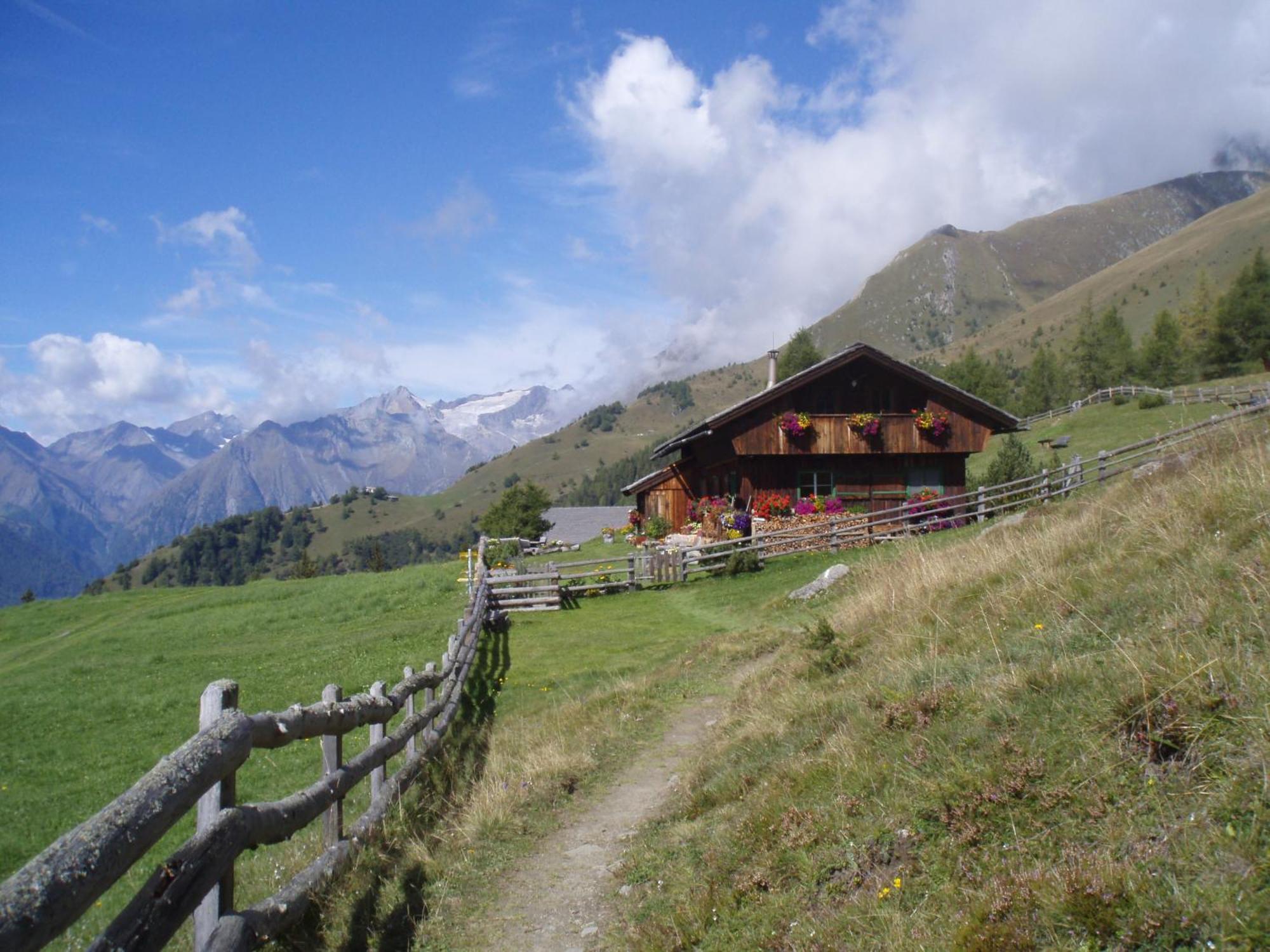 Appartementhaus Zur Loipe ザンクト・ヤーコプ・イン・デフェルエッゲン エクステリア 写真